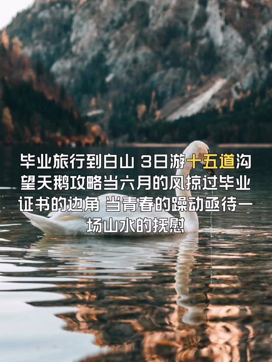 毕业旅行到白山,旅游十五道沟望天鹅攻略