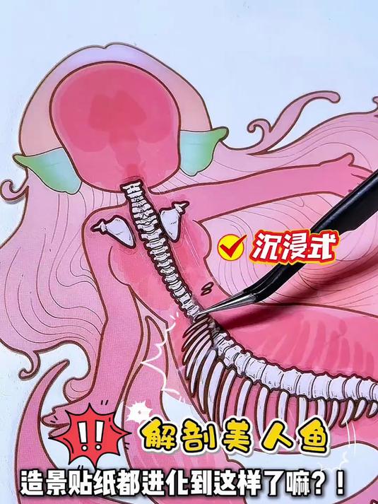 造景贴纸都进化到这个地步了吗？！沉浸式拼贴解剖美人鱼