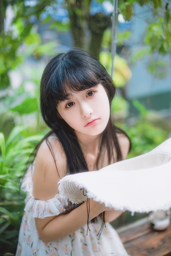 图片[15]-雏菊-六色网