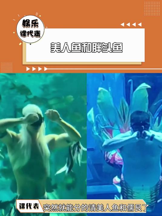 美人鱼和胖头鱼