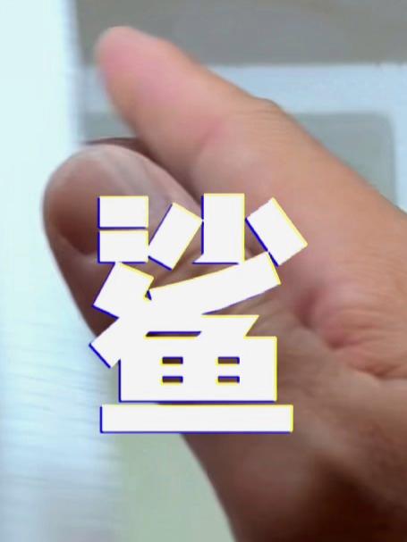 挑战养1000种海洋生物！今天养的是：鲨鱼！