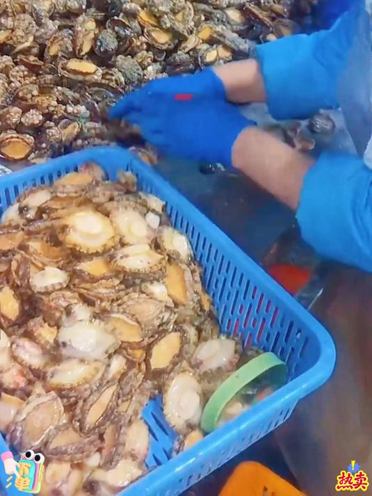 不要再发大几百去买鲍鱼了来看看几块钱的特大鲍鱼是怎么卖的！