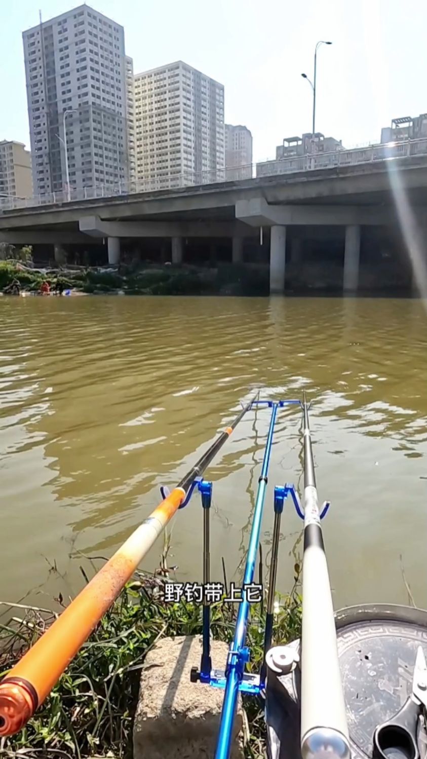 钓鱼夜光双杆支架头,加长款防缠线,双后挂分控分区调节野钓助手好物渔具