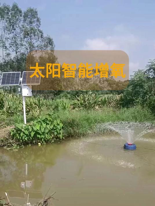 丰收的季节,水稻,鱼、太阳能智能增氧机