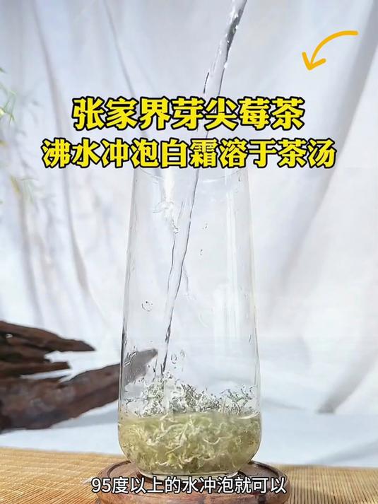 俗话说十两人参不如一斤霉茶,一个视频带你了解清楚什么是莓茶