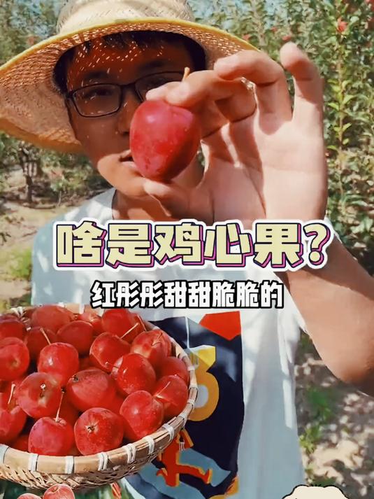 鸡心果：自然清甜，一口一个停不下来～