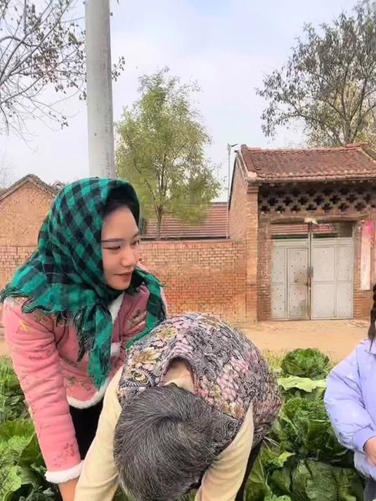 山东农村大白菜一颗能长十来斤,所以缅甸爸妈要带白菜种子回去种