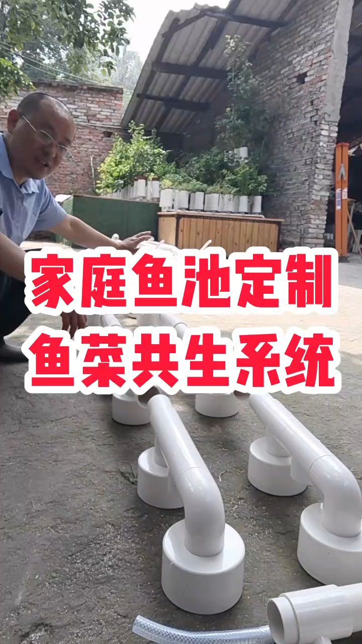 家庭鱼池定制鱼菜共生系统