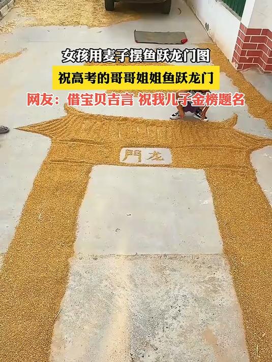 女孩用麦子摆鱼跃龙门图,祝高考的哥哥姐姐鱼跃龙门