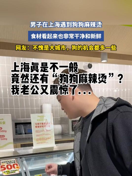 男子在上海遇到狗狗麻辣烫