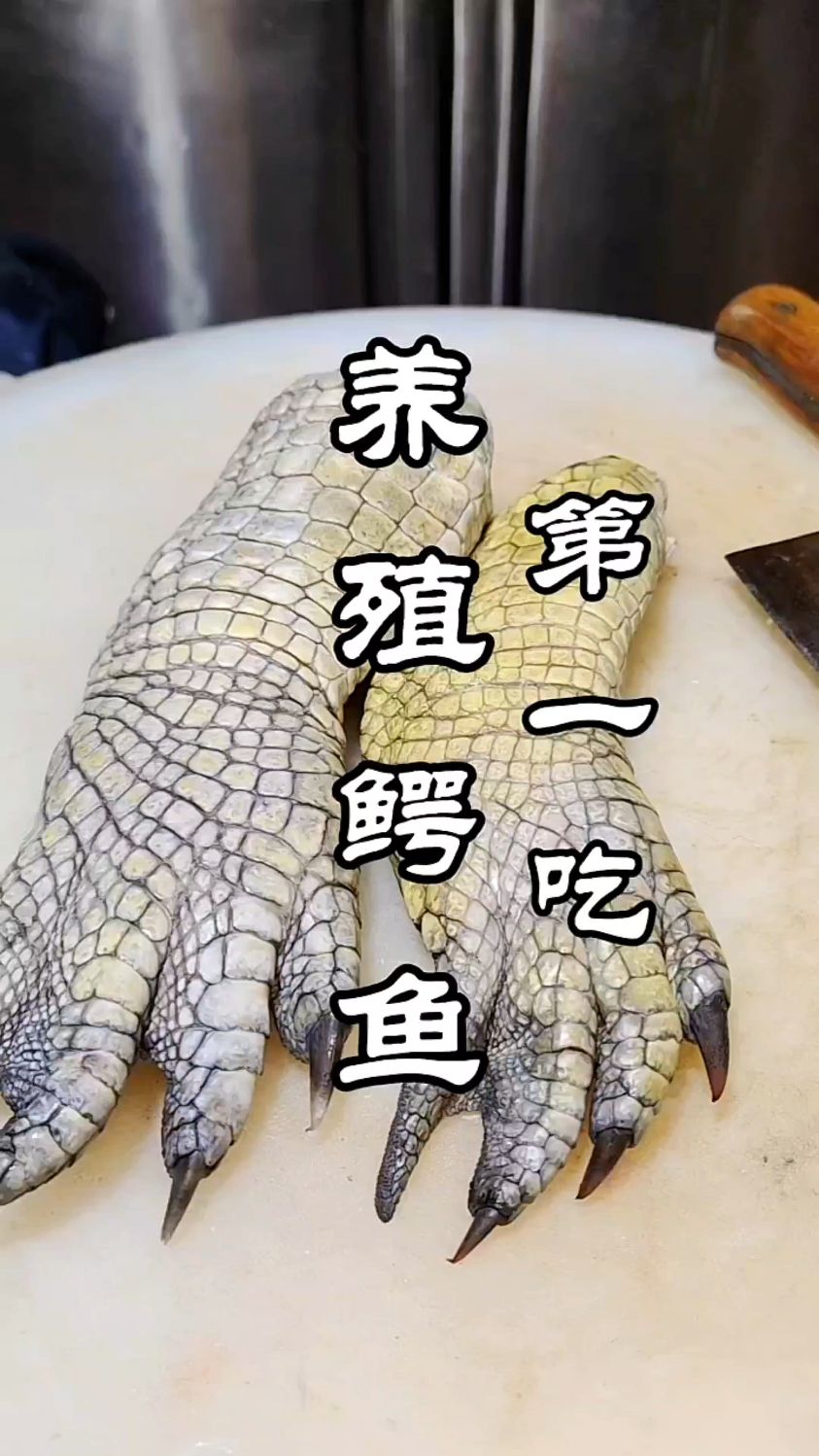 鳄鱼肉的做法