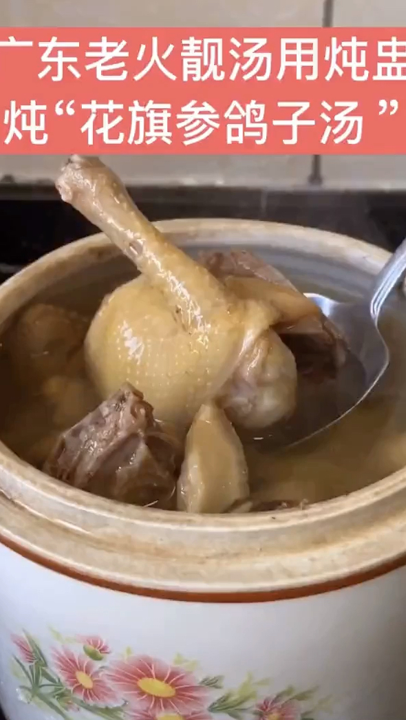 花旗参鸽子汤,做法简单方便还有营养