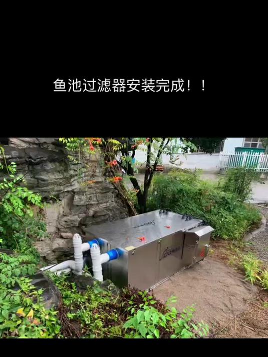 厂区假山鱼池，安装赛德清鱼池过滤器~