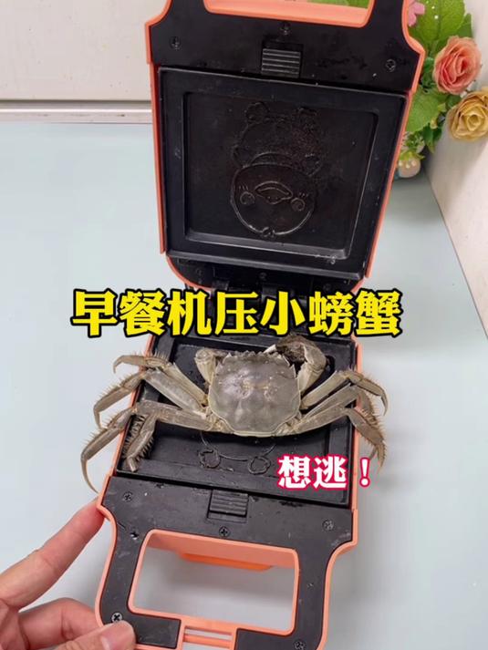 用早餐机压小螃蟹