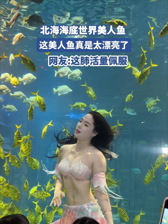 北海海底世界美人鱼，这美人鱼真是太漂亮了