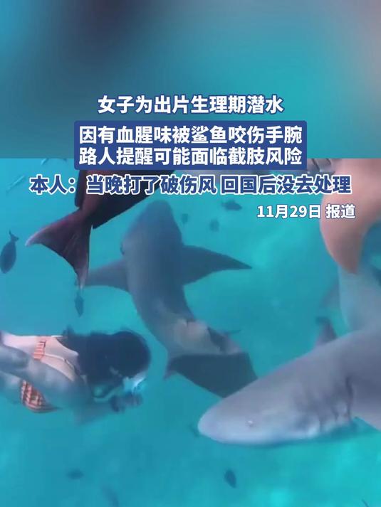 女子为出片生理期潜水 因有血腥味被鲨鱼咬伤手腕
