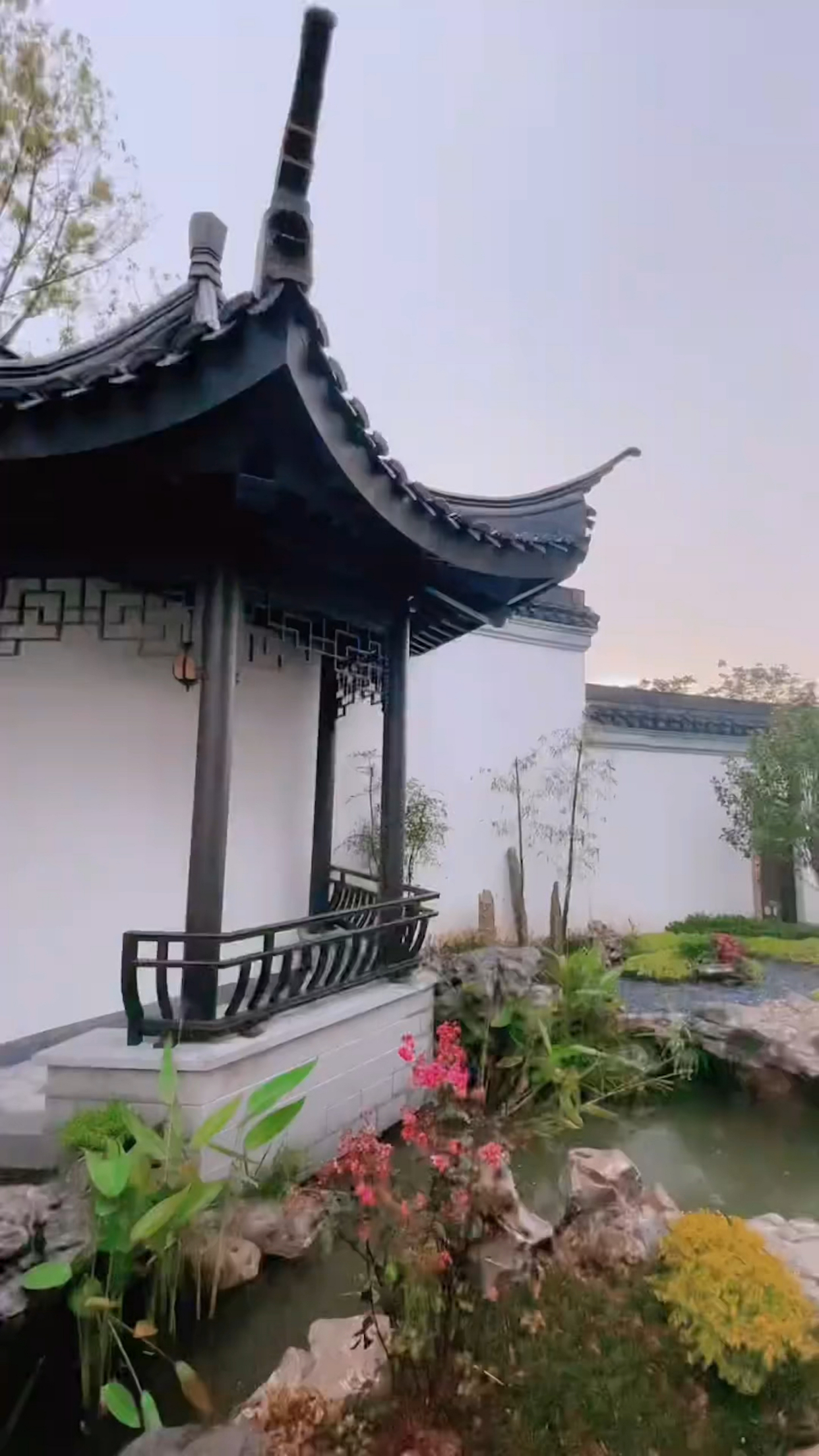 后悔来这江南小院了,待了两天不想走了,怎么办?
