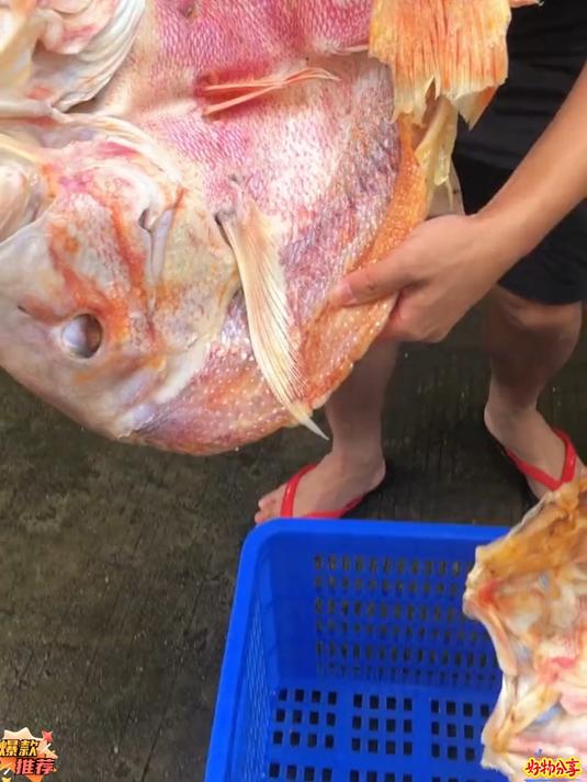 农家传统晒制大红鱼干，锁住海鱼本味，爆炒辣椒，地道海边家常菜#百家号618现金奖励带货挑战