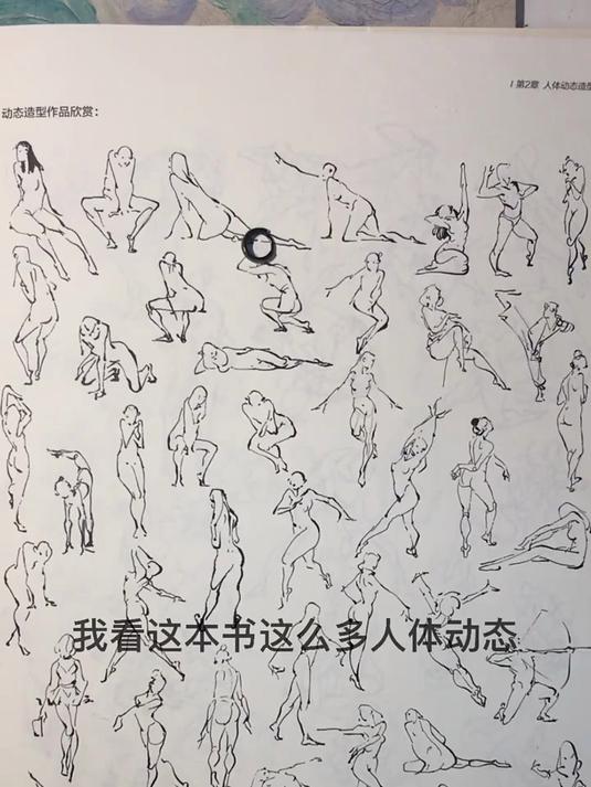 绘画素材
