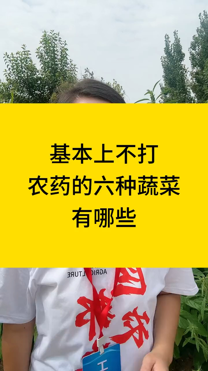 基本上不打农药的六种蔬菜有哪些