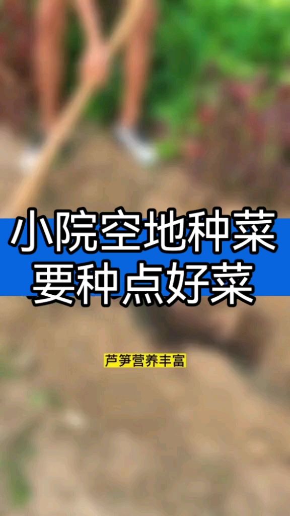 家庭小院种菜,要种点珍贵的菜