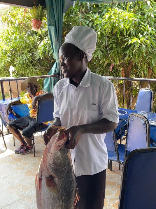 非洲维多利亚湖，野生鲈鱼最大可达2米多长，200多公斤