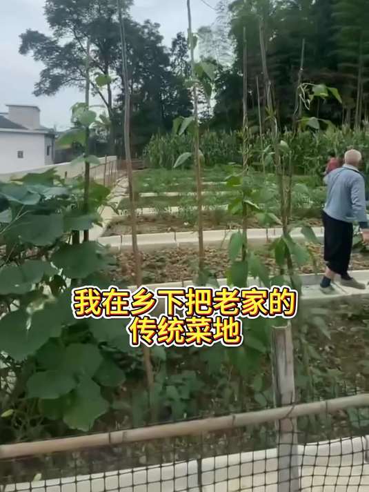 我把乡下传统菜地改造成了梦想的花园式菜园