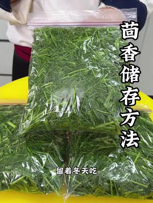 茴香储存方法