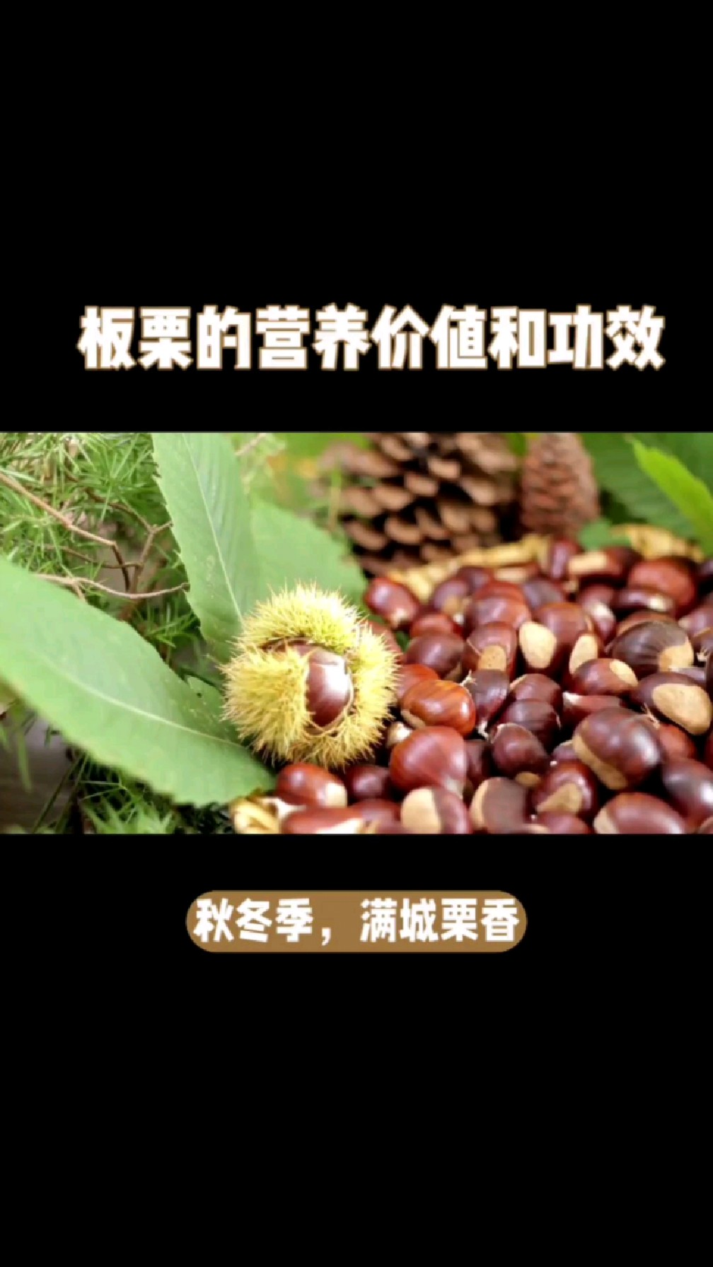 板栗的营养价值和功效