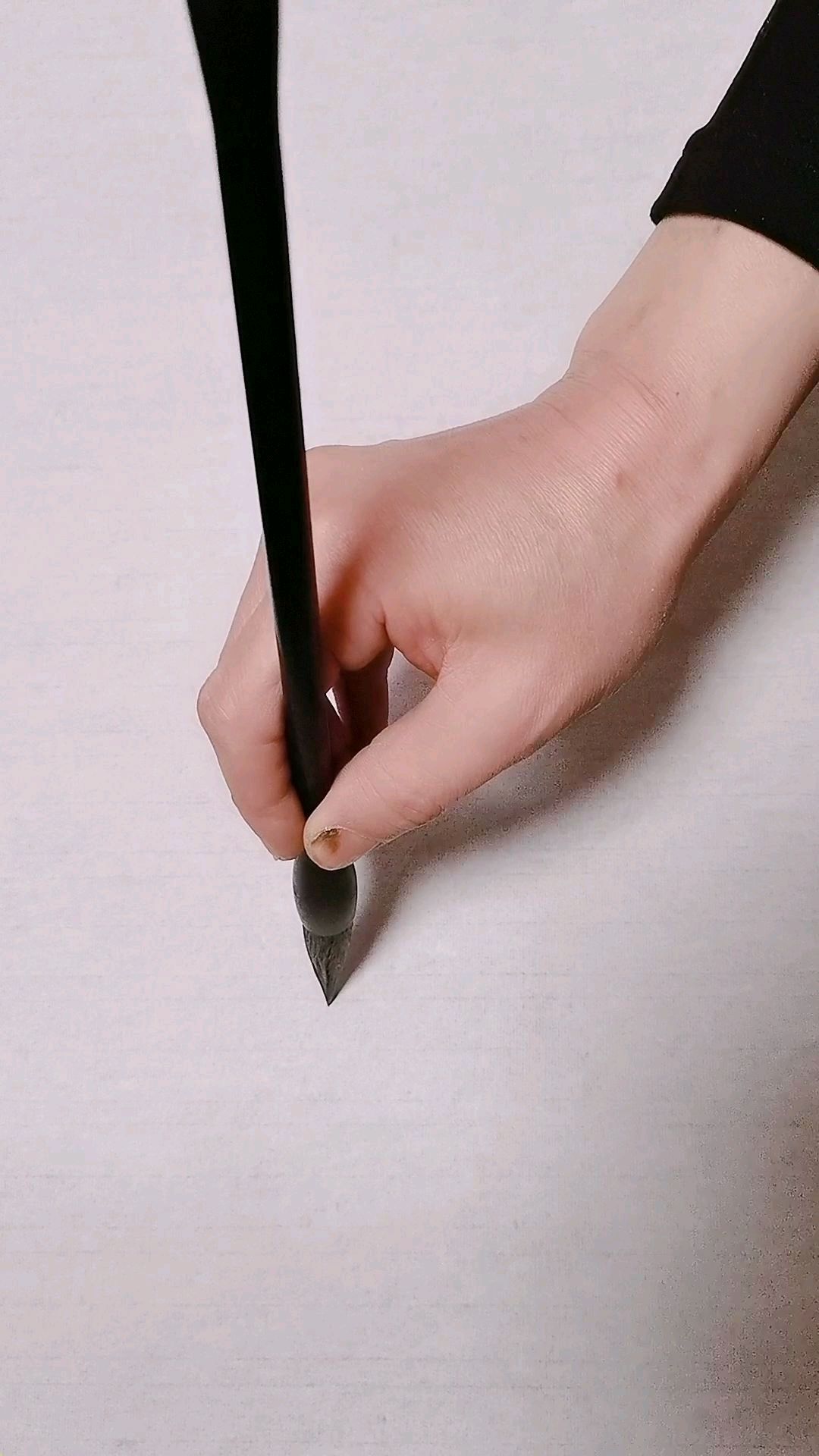 教你画带鱼