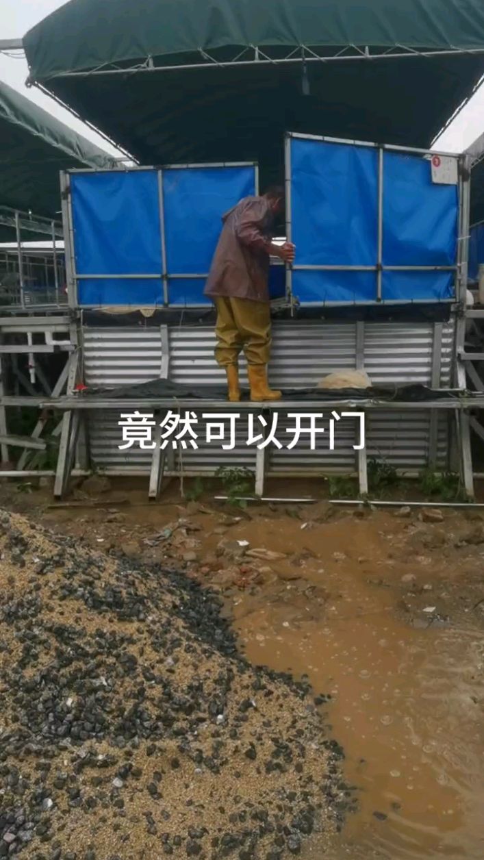 方形帆布鱼池也可以用镀锌板做支架。帆布鱼池养殖基地,高密度养殖,三农
