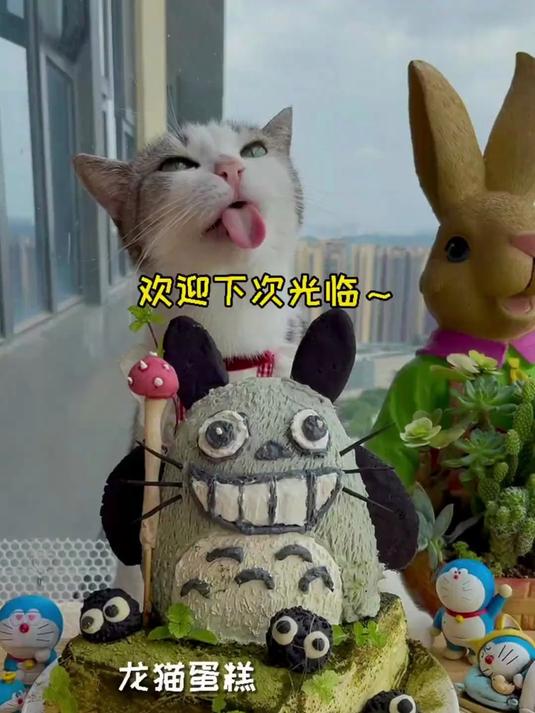 猫咪做了份龙猫蛋糕
