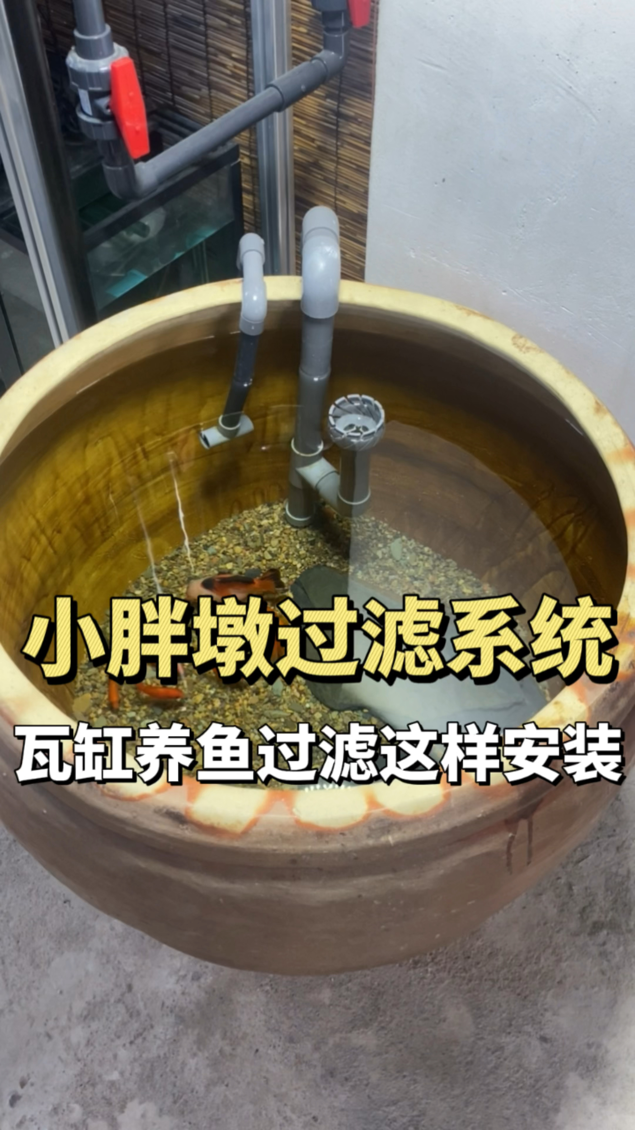 瓦缸养鱼用什么过滤系统?小胖墩过滤系统可以隐藏起来,不影响美观