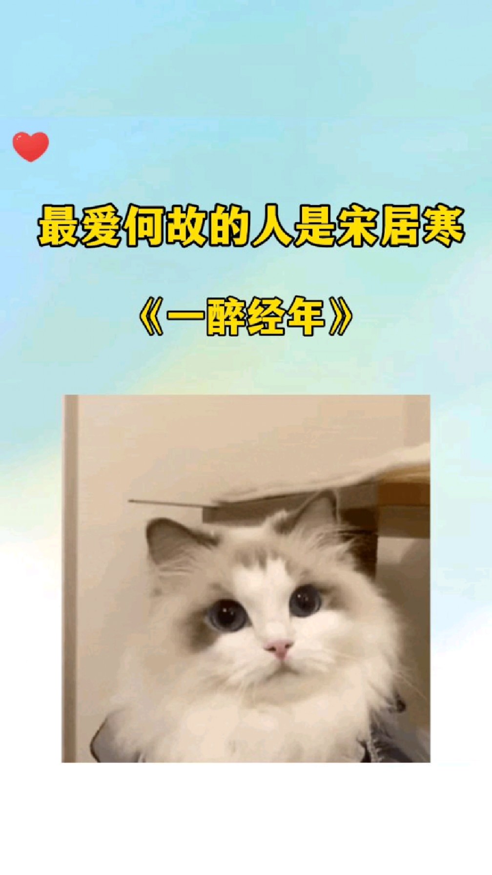 一醉经年:你很好,不过他不爱你