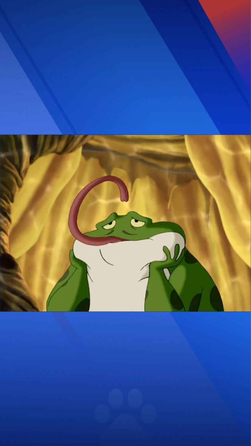 第6集|能熟背圆周率的蛤蟆竟连999+1也算不出来