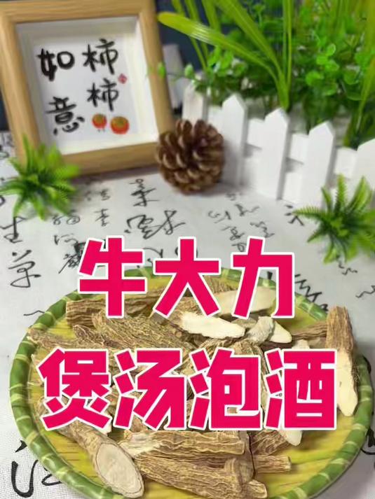 牛大力煲汤泡酒#牛大力泡酒##滋补佳品##补气养血##中医养生##养生必备##牛大力功效#