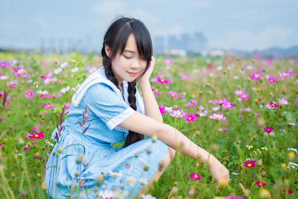 葵花物语-六色网