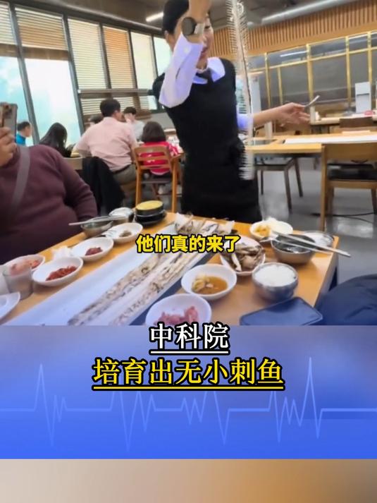 中国人终于把鱼刺干掉了!中科院培育出无小刺鱼,吃鱼不用挑刺了