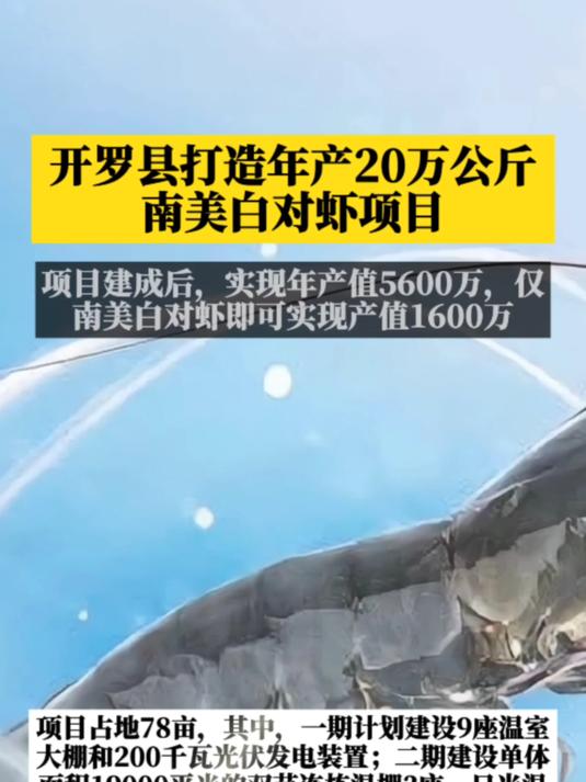 厉害!这个养殖项目,年产20万公斤南美白对虾高端养殖