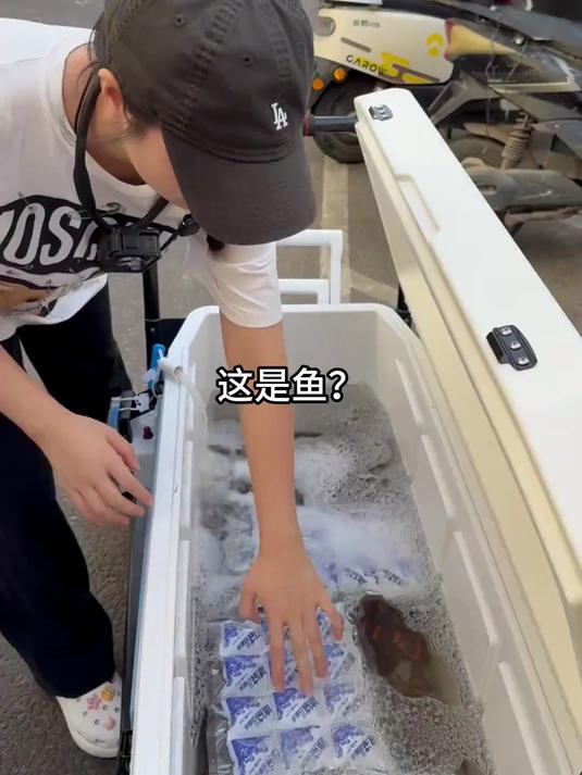 摆摊超级大海虾！鬼虾应该是海南，除了龙虾外最大的虾了