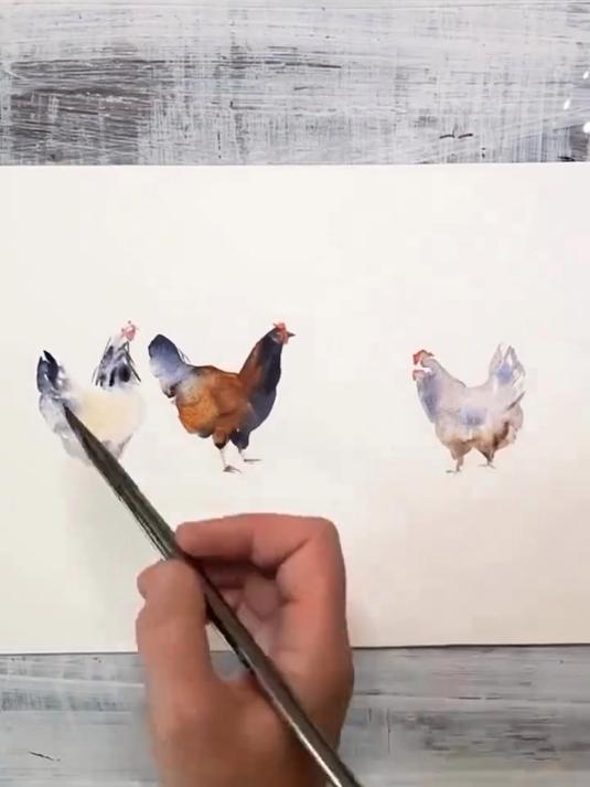 用水彩画一群鸡