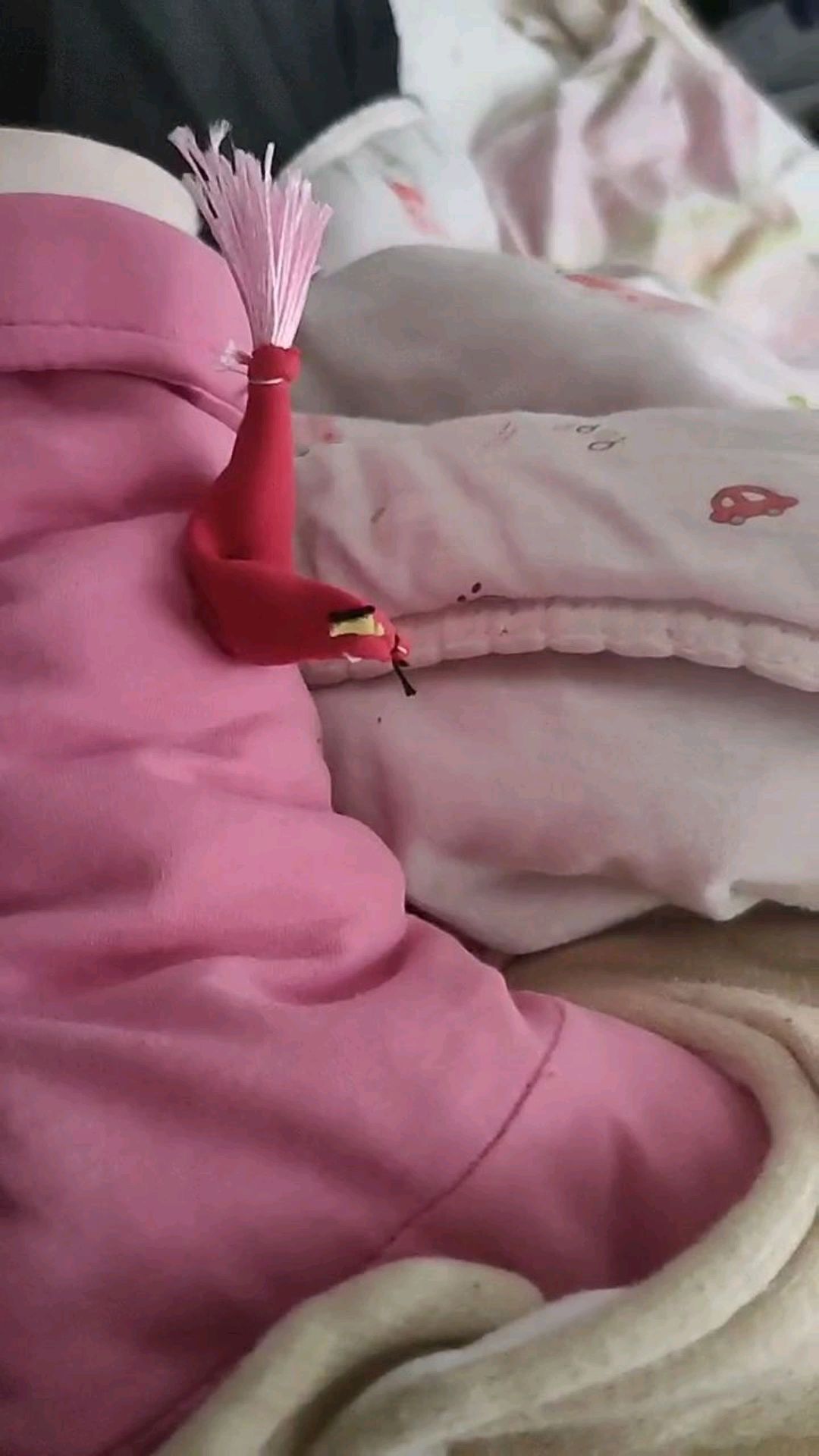 陕西蒲城立春时给孩子衣服上缝一只小鸡,你们那有这习俗吗