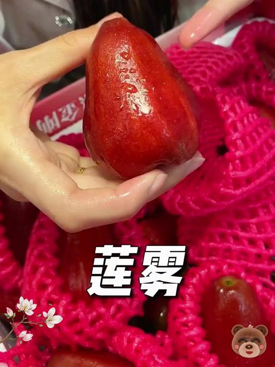 果肉如梨汁如蜜,解锁夏日「鲜脆甜」密码!