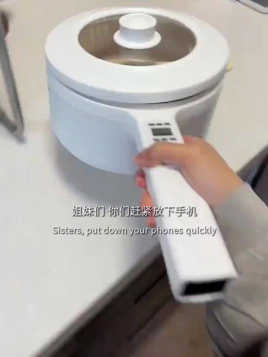 德国电煮锅小电锅电炒锅一体多功能家用小锅电热火锅宿舍学生锅泡