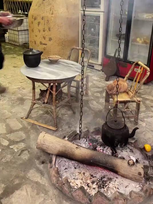 拿网上买的海里的杂鱼，做酸菜鱼是什么体验？顺便做点橙子水