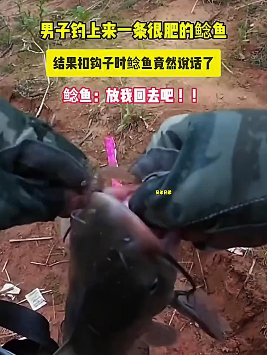 钓鱼佬钓上来了一条鲶鱼，可他却清晰的听到它说话的声音，真奇怪