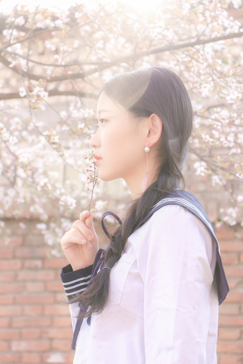 图片[15]-落樱少女-六色网