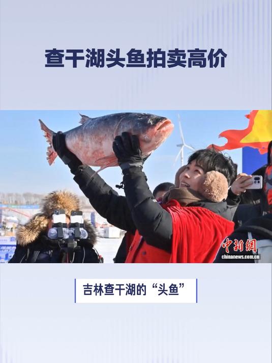 查干湖头鱼拍出1699999元高价