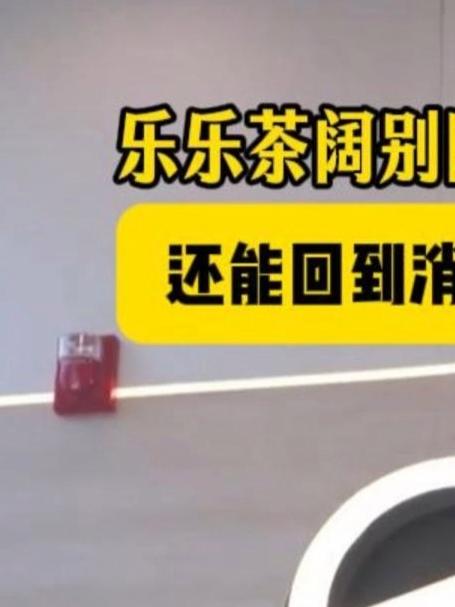 乐乐茶阔别4年再战广州！