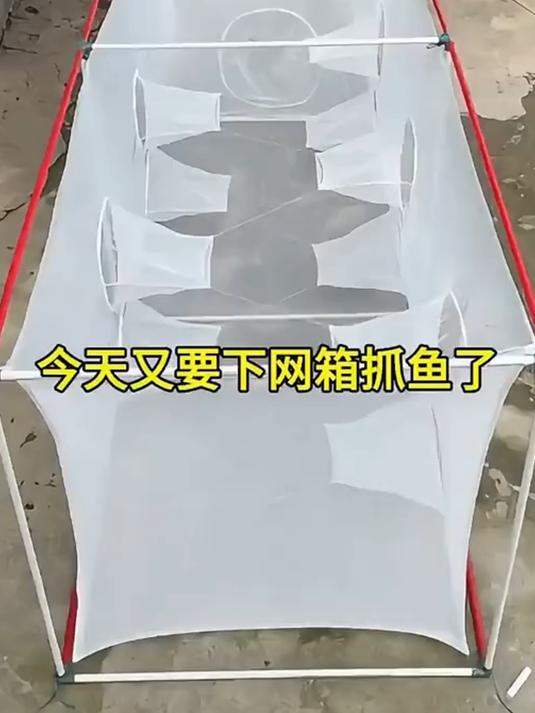 自动进泥鳅黄颡鲫鱼网箱存鱼网箱,养鱼好帮手